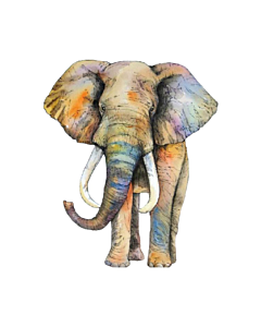 Encastrable Kartesania (1545) Elefante pastel 55x40